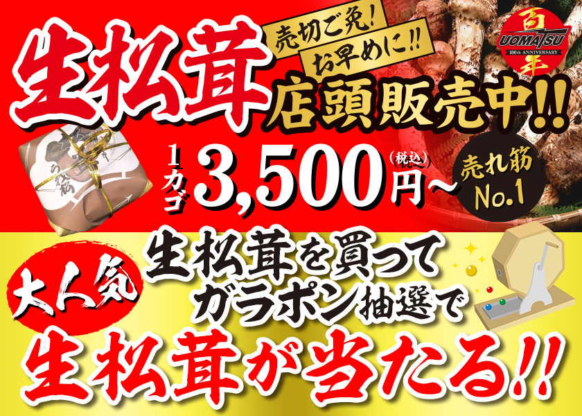 生松茸店頭販売中！！売切ご免！！お早めに！1カゴ3,500円〜　大人気生松茸を買ってガラポン抽選で生松茸が当たる！