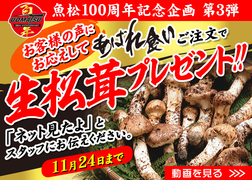 魚松100周年記念第3弾企画　お客様の声にお応えしてあばれ食いご注文で生松茸プレゼント！！11月24日まで 「ネット見たよ」とスタッフにお伝えください。動画を見る＞＞