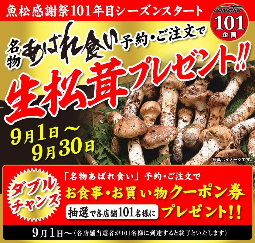 魚松感謝祭101年目シーズンスタート UOMATSU101企画 名物あばれ食い予約・ご注文で　生松茸プレゼント！！　9月1日〜9月30日　ダブルチャンス　名物あばれ食い予約・ご注文で　お食事・お買い物クーポン券抽選で各店舗101名様にプレゼント！！　9月1日〜（各店舗当選者が101名様に到達すると終了といたします）