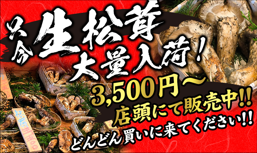 只今　生松茸　大量入荷！　3,500円〜店頭にて販売中！！どんどん買いに来てください！！