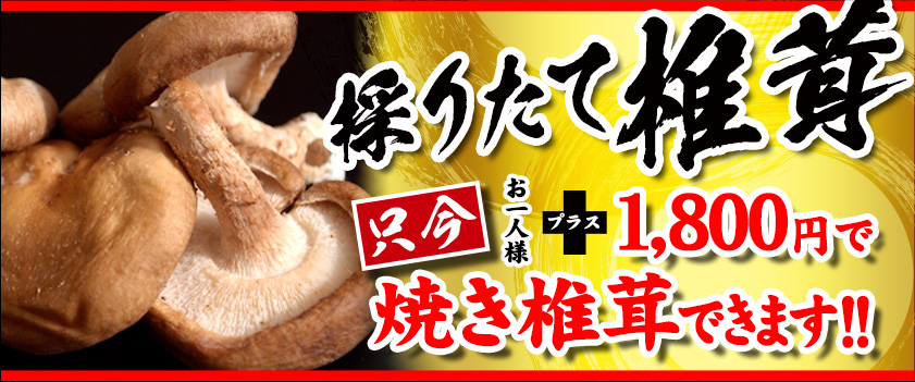 業者様へ　1月〜8月期間限定　魚松102年目の熱い挑戦！！　詳しくはクリック